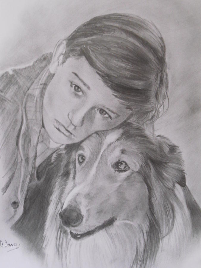 A Young Roddy Mcdowall And Lassie Drawing By Darren Downes Pixels 