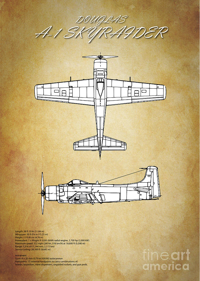 A1 Skyraider Blueprint Digital Art by Airpower Art
