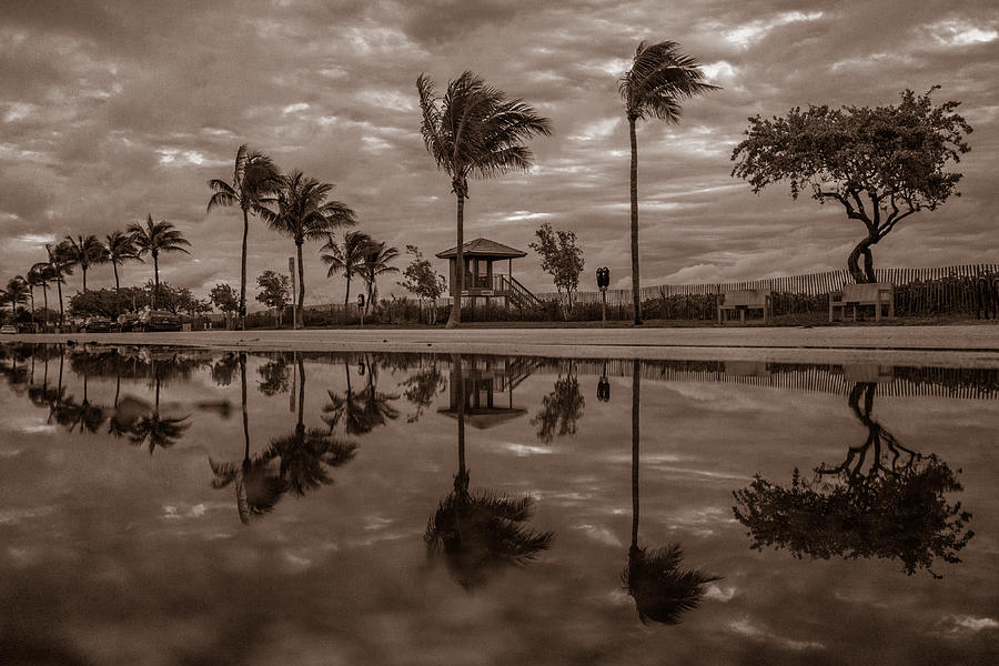 A1A Reflection Delray Beach Photograph by Lawrence S Richardson Jr