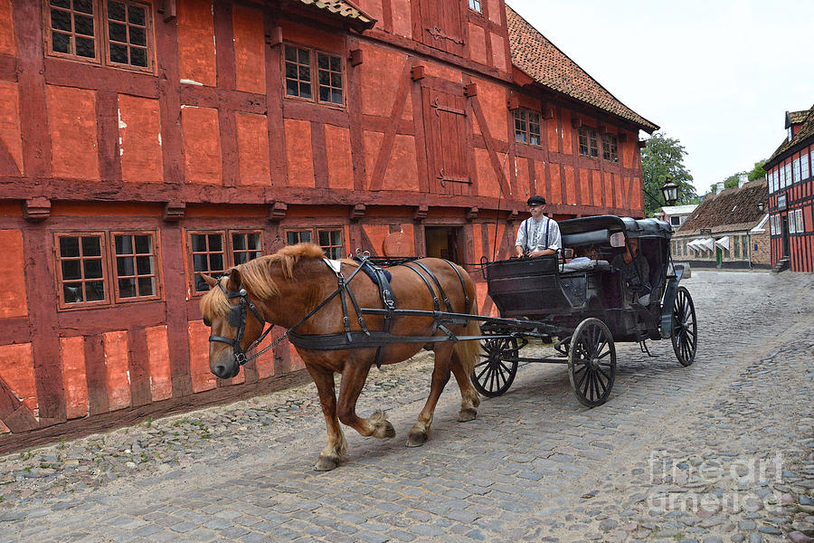 Aarhus Horse And Buggy Photograph