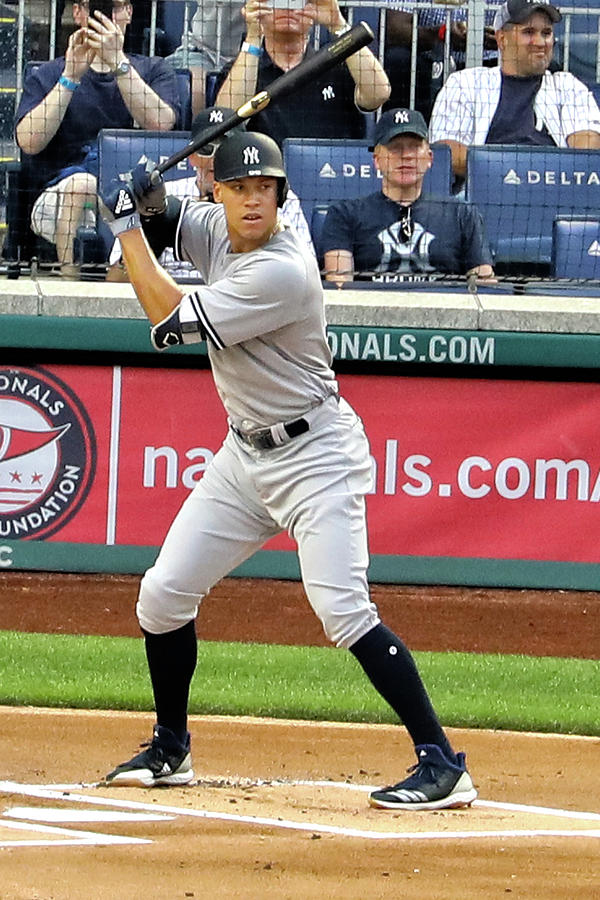 Aaron Judge Photograph by Mitch Cat
