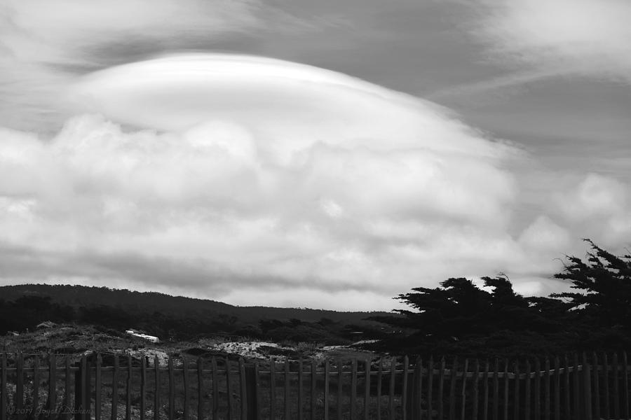 Asilomar Clouds Black And White Photograph by Joyce Dickens