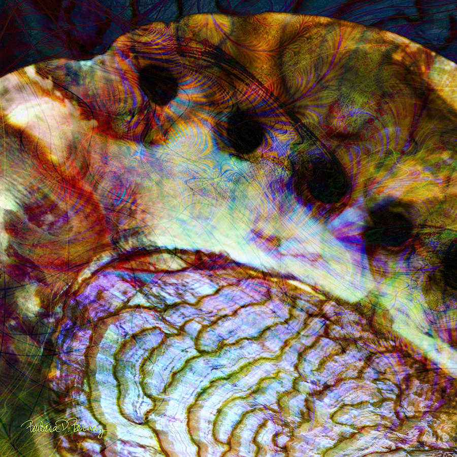 Abalone Digital Art by Barbara Berney