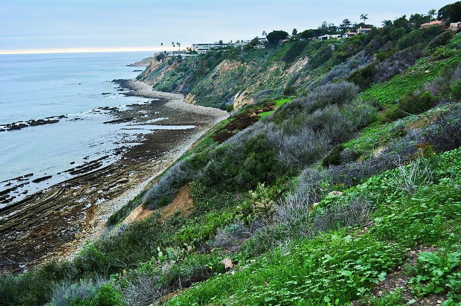 Abalone Cove Bluffs Photograph by Kyle Hanson