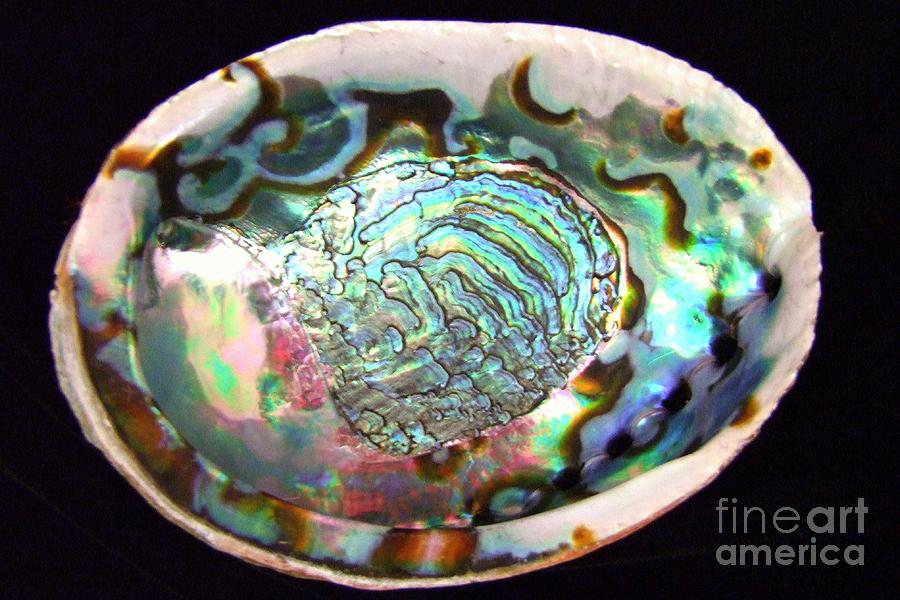 Shell Photograph - Abalone Seashell by Mary Deal