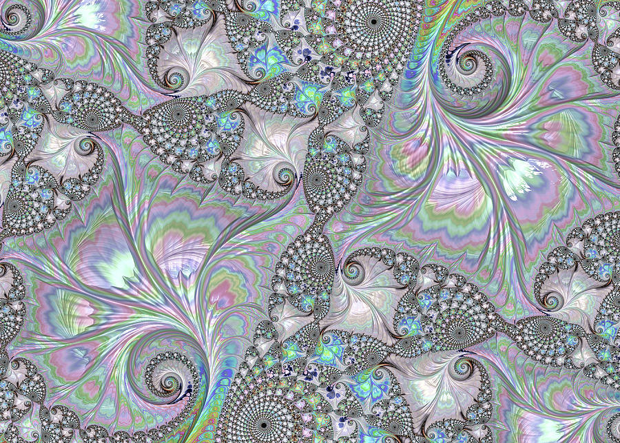 Abalone Shells Digital Art by HH Photography of Florida