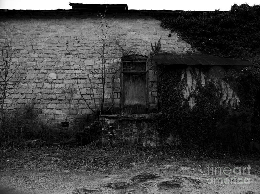 Abandon and overgrown on a building with a door #2 black and white-Georgia Photograph by Adrian De Leon Art and Photography