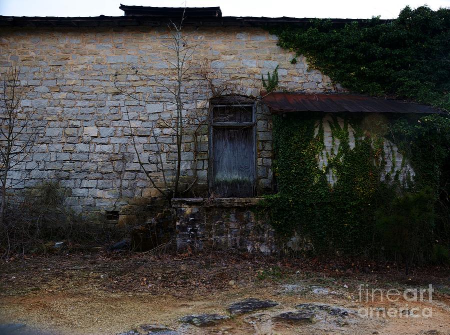 Abandon and overgrown on a building with a door -Georgia Photograph by Adrian De Leon Art and Photography