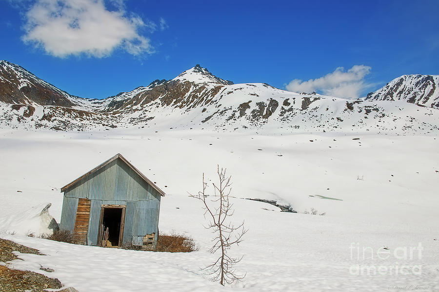 Abandon Building Alaskan Mountains Photograph by David Arment