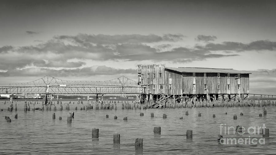 Abandon Cannery, Astoria bw Photograph by Jerry Fornarotto