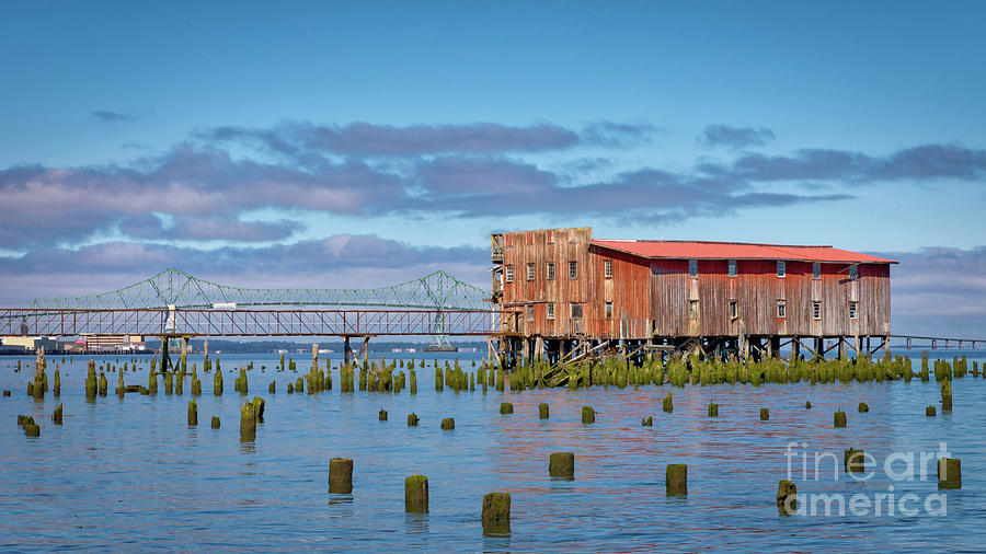 Abandon Cannery Astoria Photograph by Jerry Fornarotto