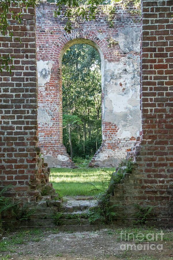Abandon Church in South Carolina Photograph by Randy J Heath