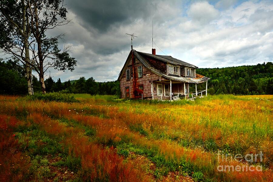 Abandon House Photograph by Steve Brown
