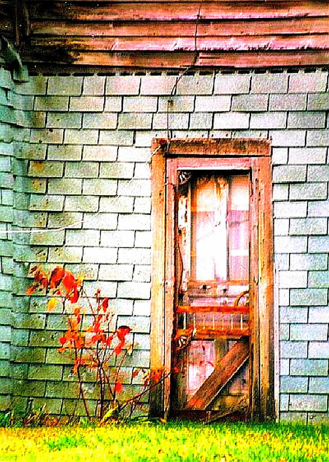 Abandonded Farm Door Photograph by Daniel Thompson