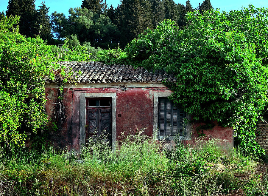 Abandoned Abode Photograph by Richard Ortolano