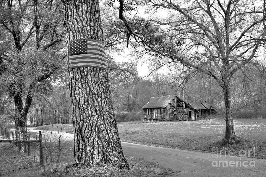 Tree Photograph - Abandoned America by Reid Callaway