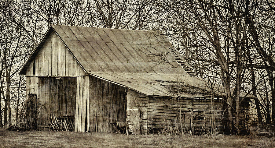 Abandoned and Forgotten Shed Photograph by William Sturgell