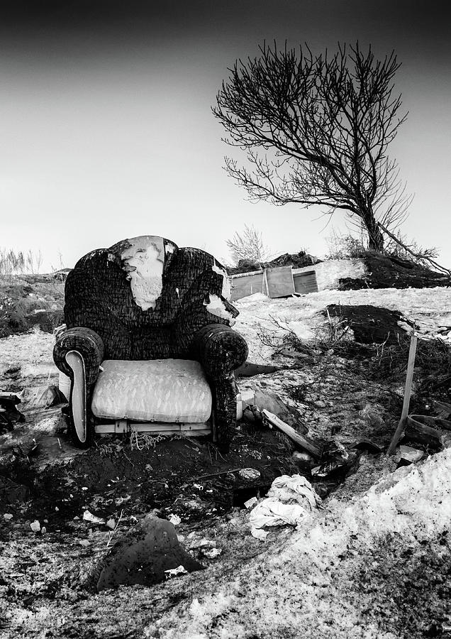 Abandoned Armchair and Leaning Tree Monochrome Photograph by John Williams