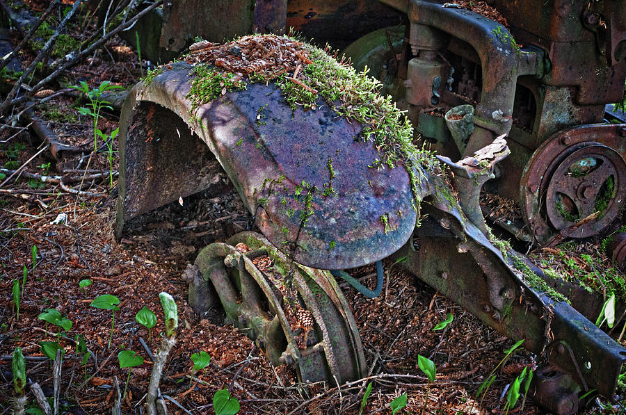 Abandoned at Amalga 4 Photograph by Cathy Mahnke