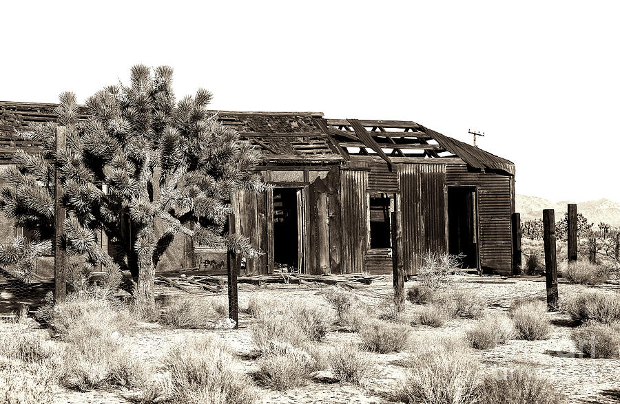 Abandoned at Mojave National Preserve Photograph by John Rizzuto