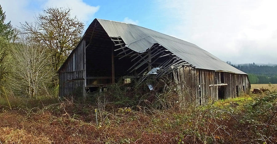 Abandoned Barn in Alsea Photograph by Judy Wanamaker