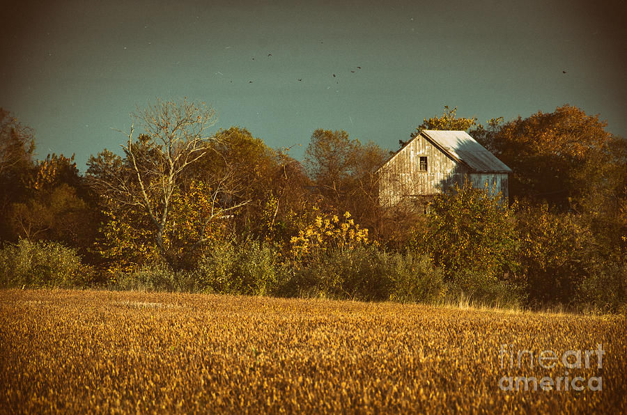 Abandoned Barn Colorized  Photograph by PIPA Fine Art - Simply Solid
