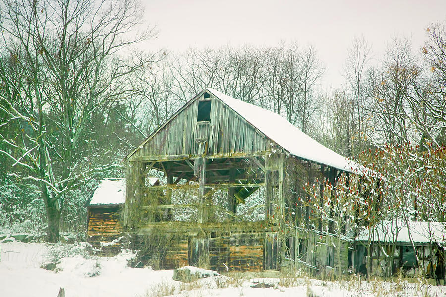 Abandoned Barn Photograph by Natalie Rotman Cote
