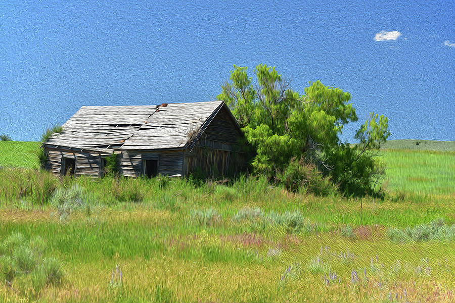 Abandoned Barn Paint Photograph by Richard J Cassato