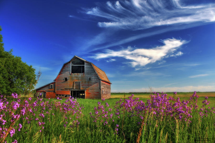 Abandoned Blackmore Barn #1 - Spring Photograph by Peter Herman