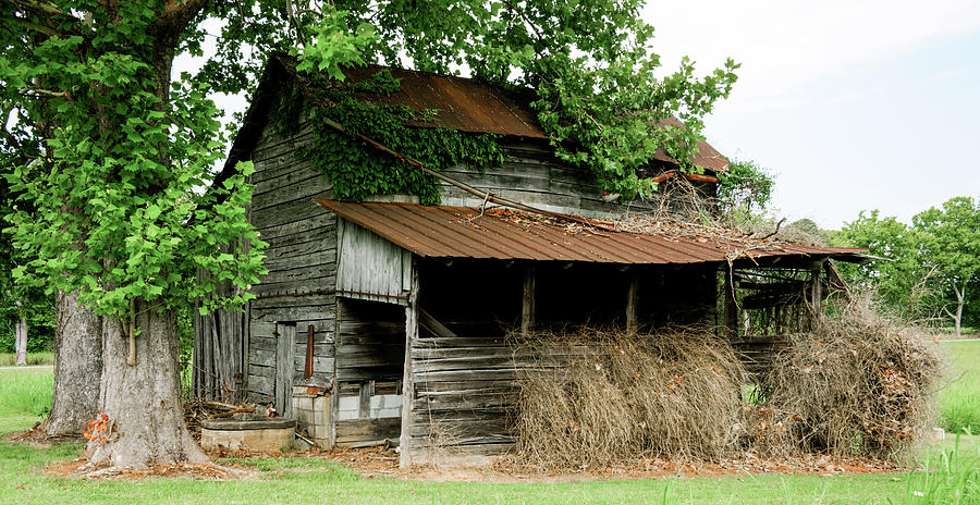 Abandoned Barn Southern Tennessee Photograph by Douglas Barnett