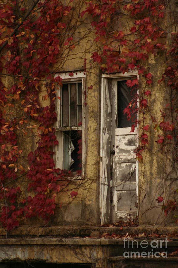 Abandoned Beauty ii Photograph by B Rossitto