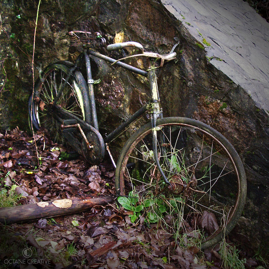 Bicycle Photograph - Abandoned Bicycle by Tim Nyberg
