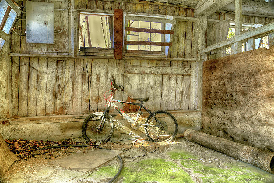 Barn Photograph - Abandoned Bike in the Barn by Gale Miko