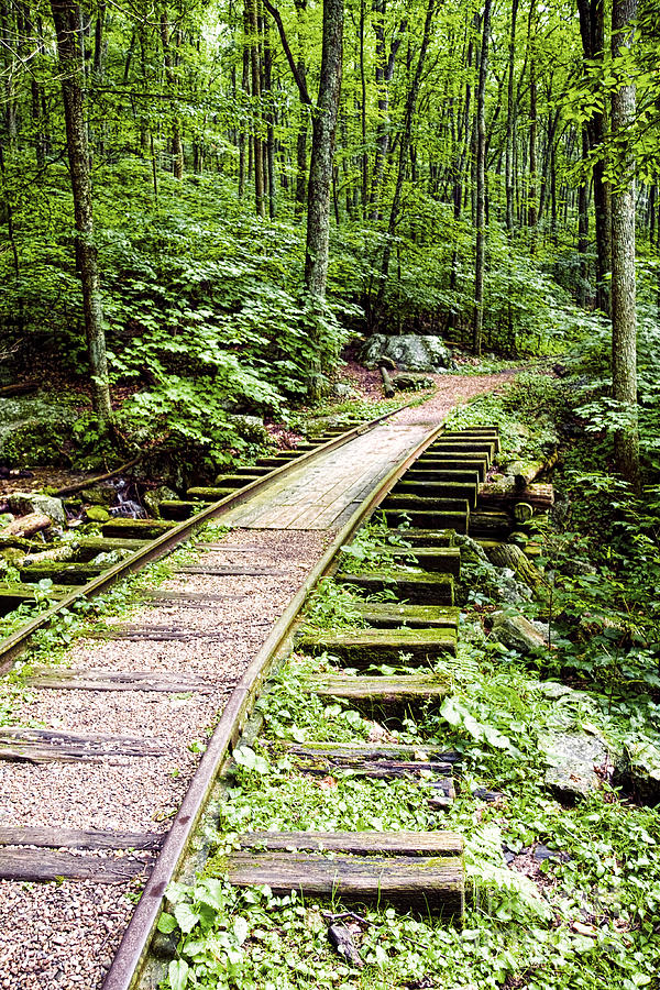 Abandoned Blue Ridge Track Photograph by Sherry  Curry