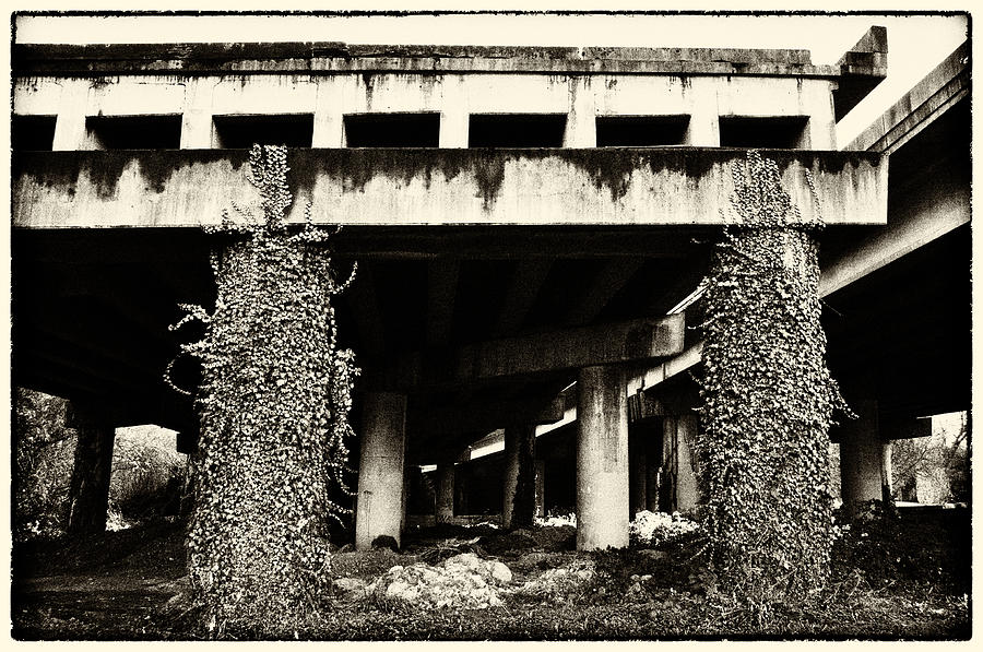 Abandoned Bridge  Photograph by Pelo Blanco Photo