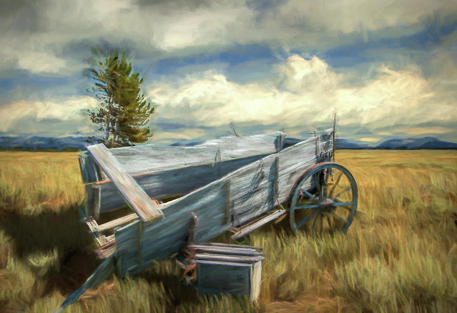 Abandoned Broken Frontier Wagon Photograph by Randall Nyhof