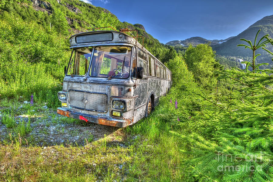 Abandoned Bus Photograph by Benny Marty - Fine Art America