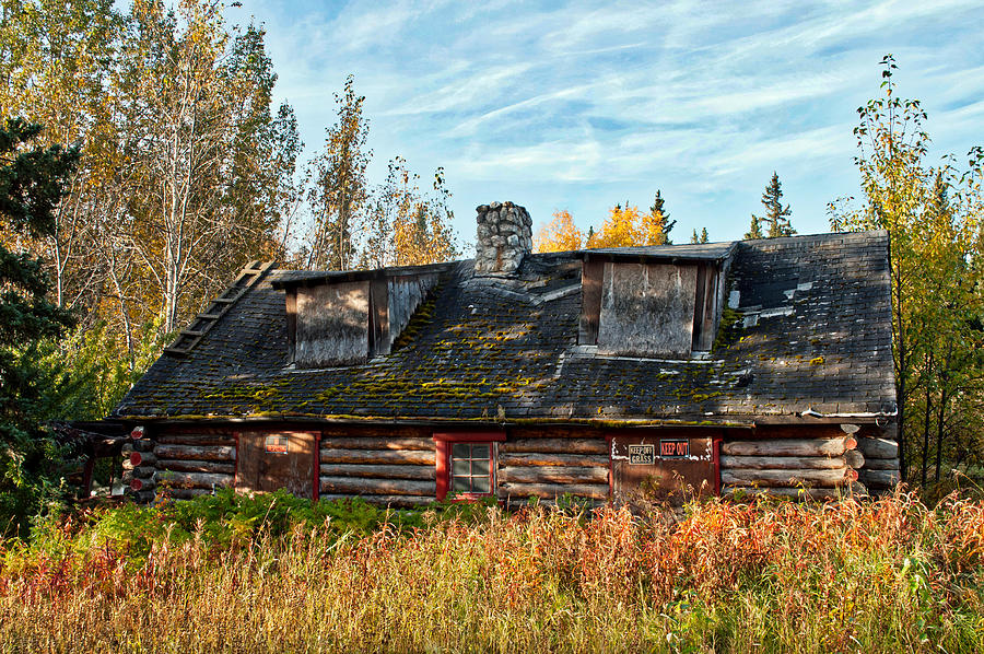 Abandoned Cabin - Big Delta Alaska Photograph by Cathy Mahnke