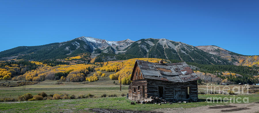 Abandoned Cabin Near Crested Butte Photograph by Michael Ver Sprill