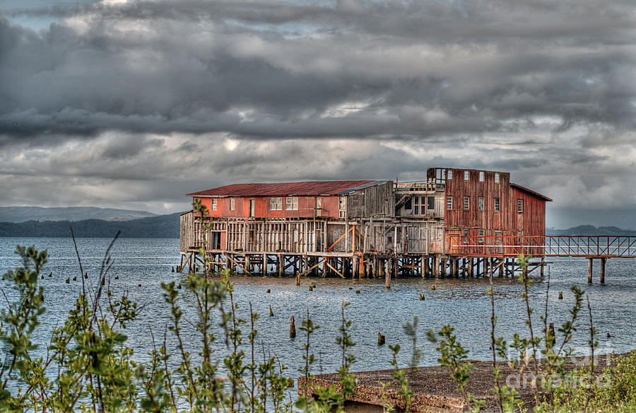 Architecture Photograph - Abandoned Cannery by Hilton Barlow