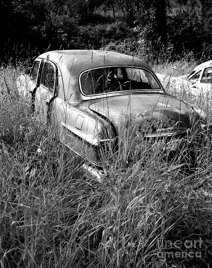 Abandoned Car Photograph by Denise Bruchman