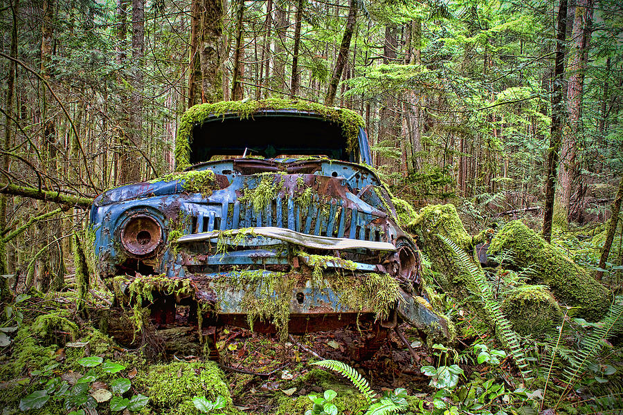 Car Photograph - Abandoned Car in the Forest by Peggy Collins