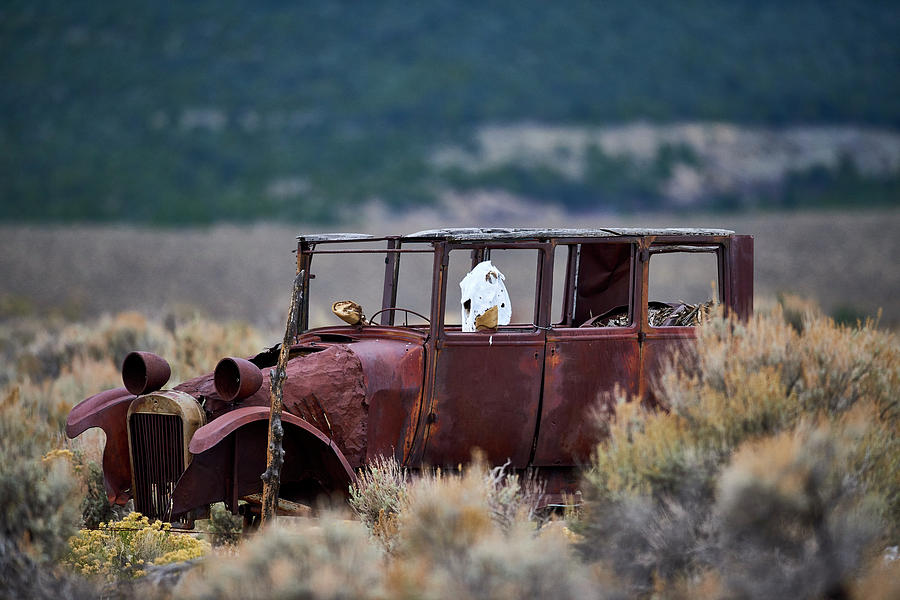 Abandoned Car Photograph by Paul Freidlund