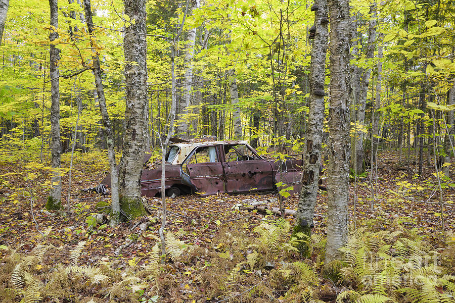 Nature Photograph - Abandoned Car- Woodstock New Hampshire by Erin Paul Donovan