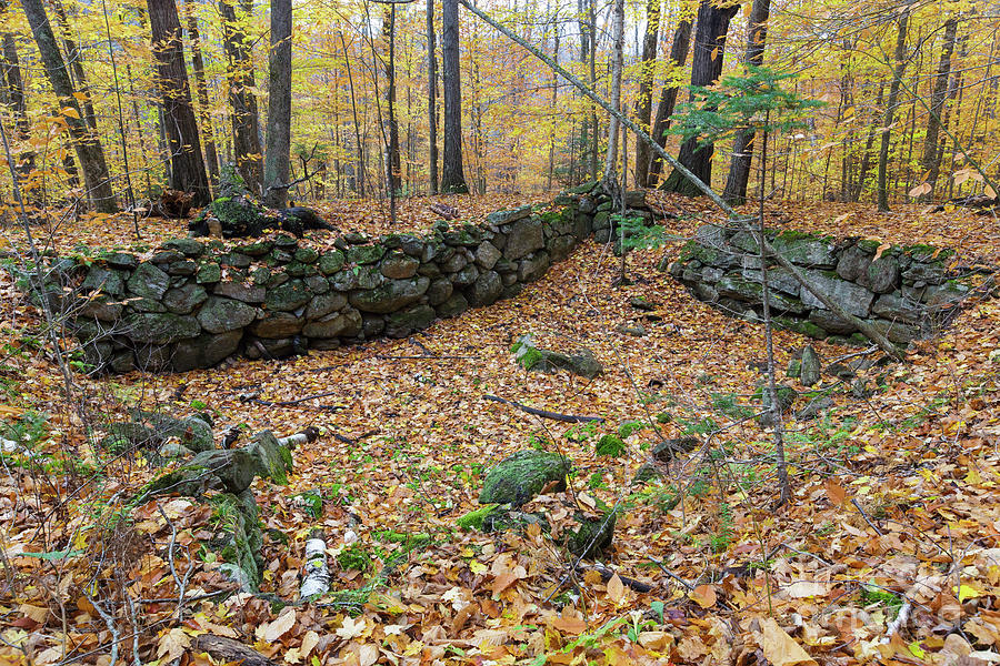 Abandoned Cellar Hole - White Mountains New Hampshire Photograph by Erin Paul Donovan
