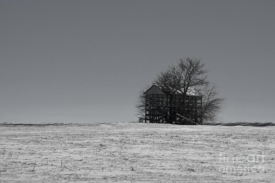 Abandoned Corn Crib 5012 Photograph by Ken DePue