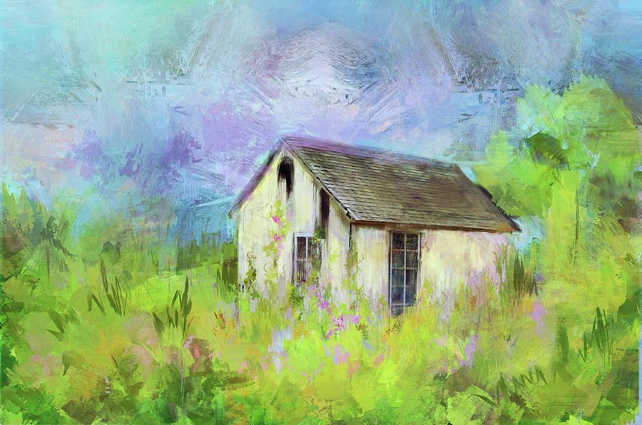 Abandoned Cottage in Springtime Color Photograph by Carla Parris