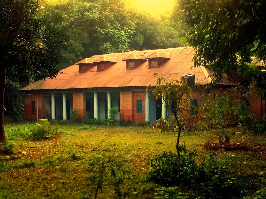 Abandoned Cottage Photograph by Salman Ravish