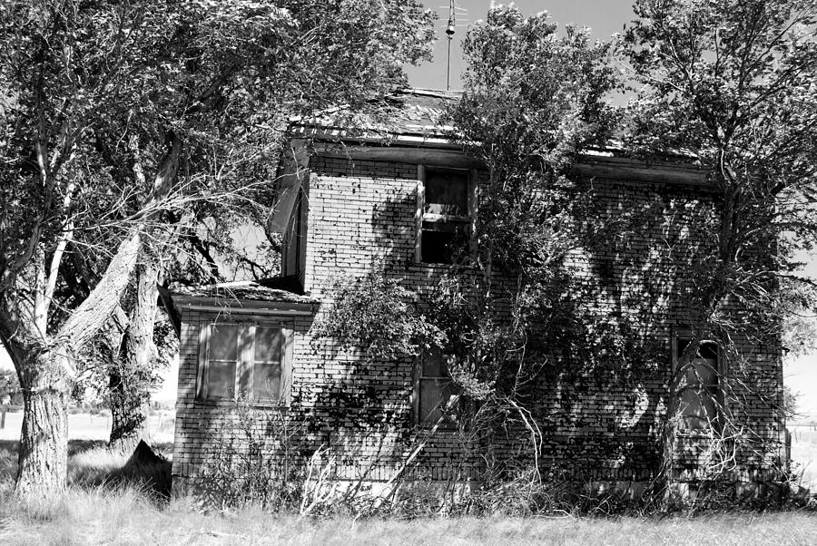 Nature Photograph - Abandoned Country Home Covered in Trees - Black and White by Matt Quest