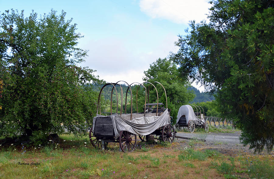 Abandoned Cover Wagons Photograph by Barbara Snyder